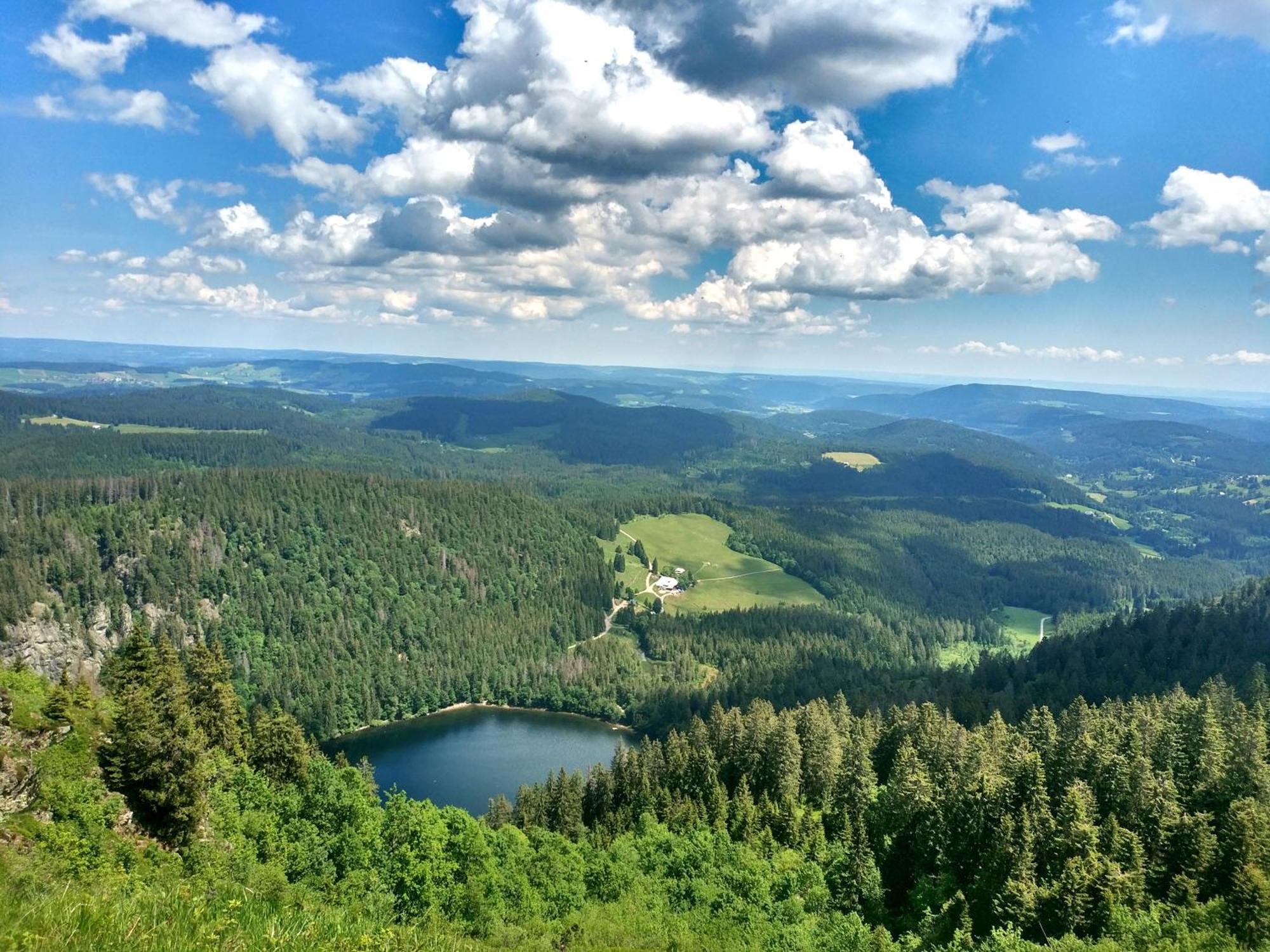 Ferienwohnung Seeblick Nr 2 5-Zimmerwohnung - Feldberg Baerental Rotwasser Bagian luar foto