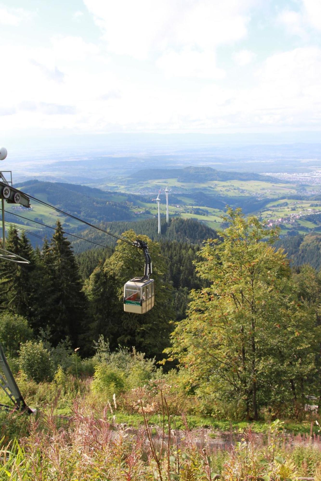 Ferienwohnung Seeblick Nr 2 5-Zimmerwohnung - Feldberg Baerental Rotwasser Bagian luar foto