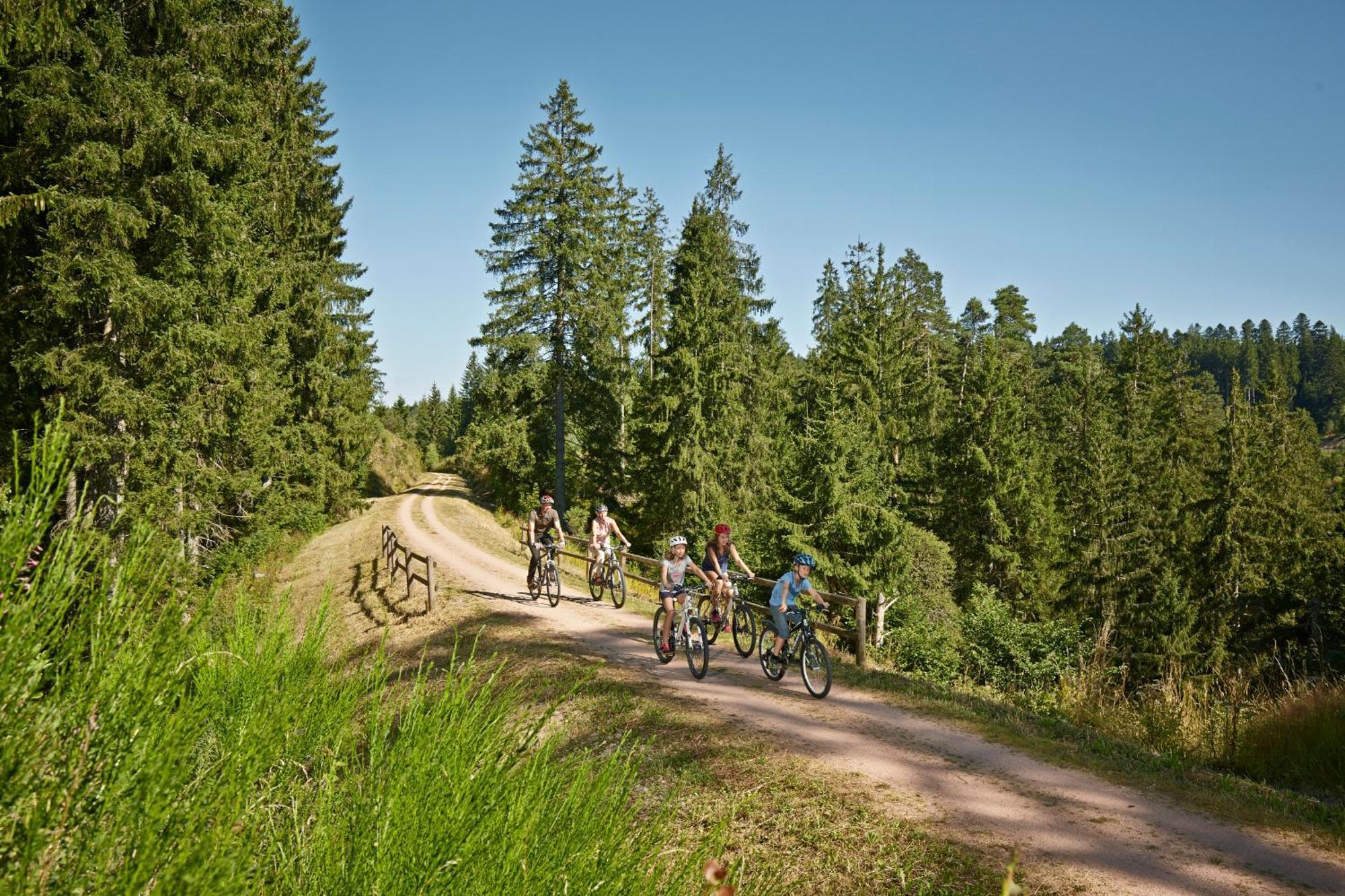 Ferienwohnung Seeblick Nr 2 5-Zimmerwohnung - Feldberg Baerental Rotwasser Bagian luar foto