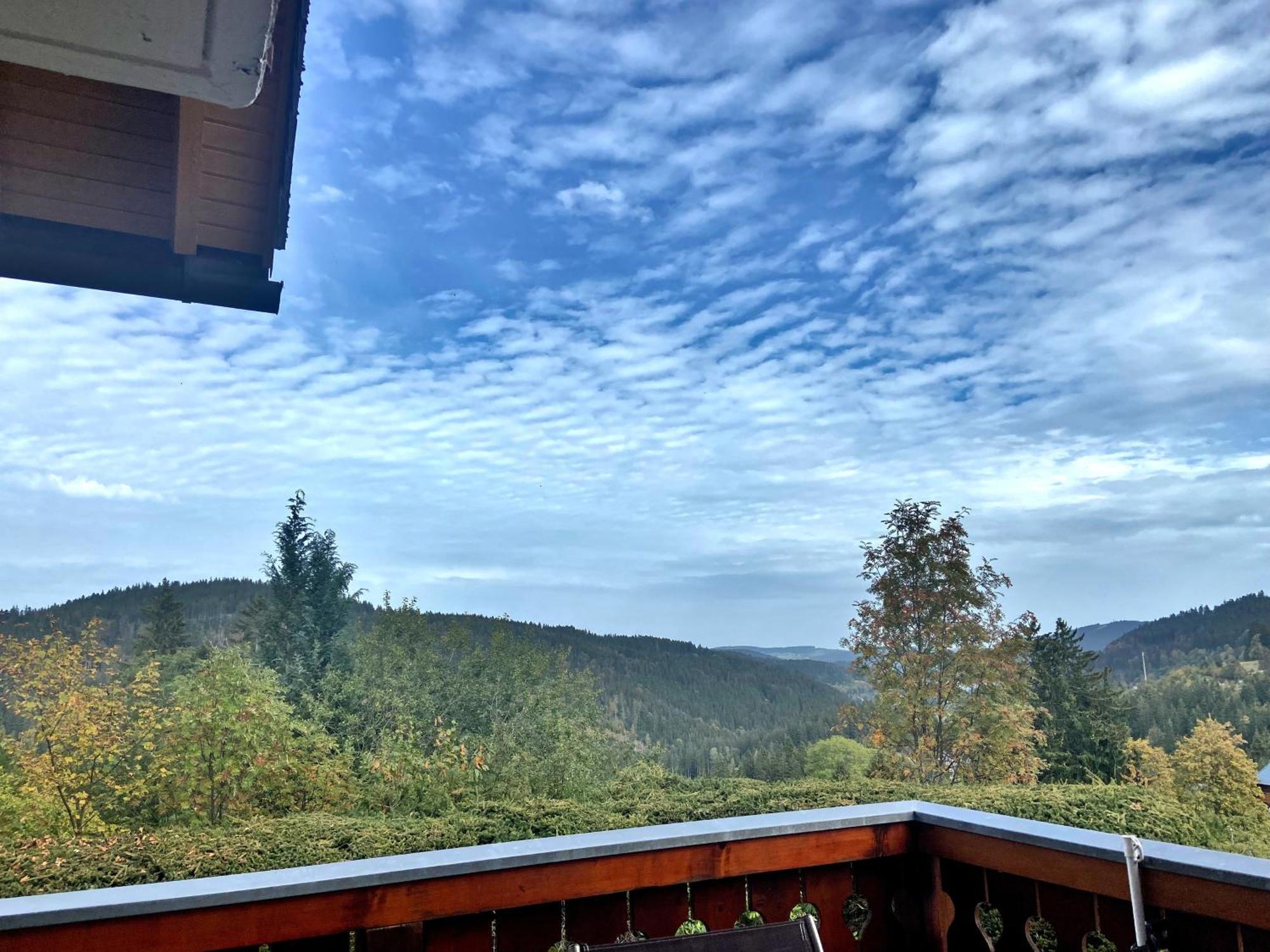 Ferienwohnung Seeblick Nr 2 5-Zimmerwohnung - Feldberg Baerental Rotwasser Bagian luar foto